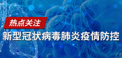 新型冠状病毒感染的肺炎